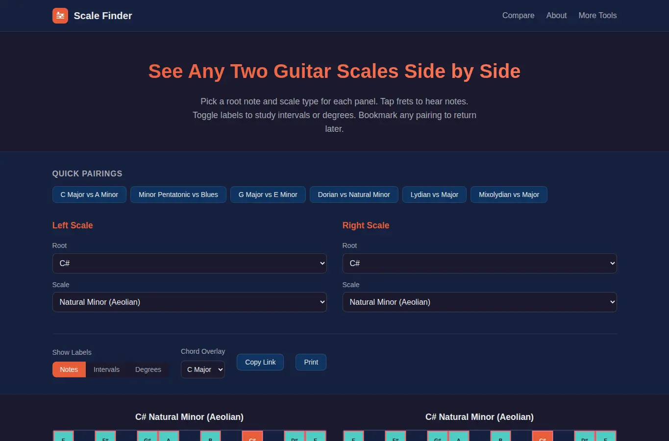 Screenshot of Guitar Scale Side-by-Side interface showing the project page in use
